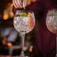 Erne Gin & Tonic Pair