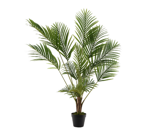 Palmtree in pot plastic L50cm W50cm H125cm